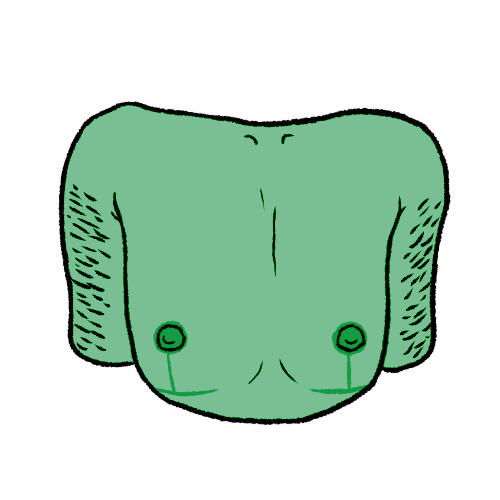 a green chest with 'inverted t' top surgery scars and brown arm hair.